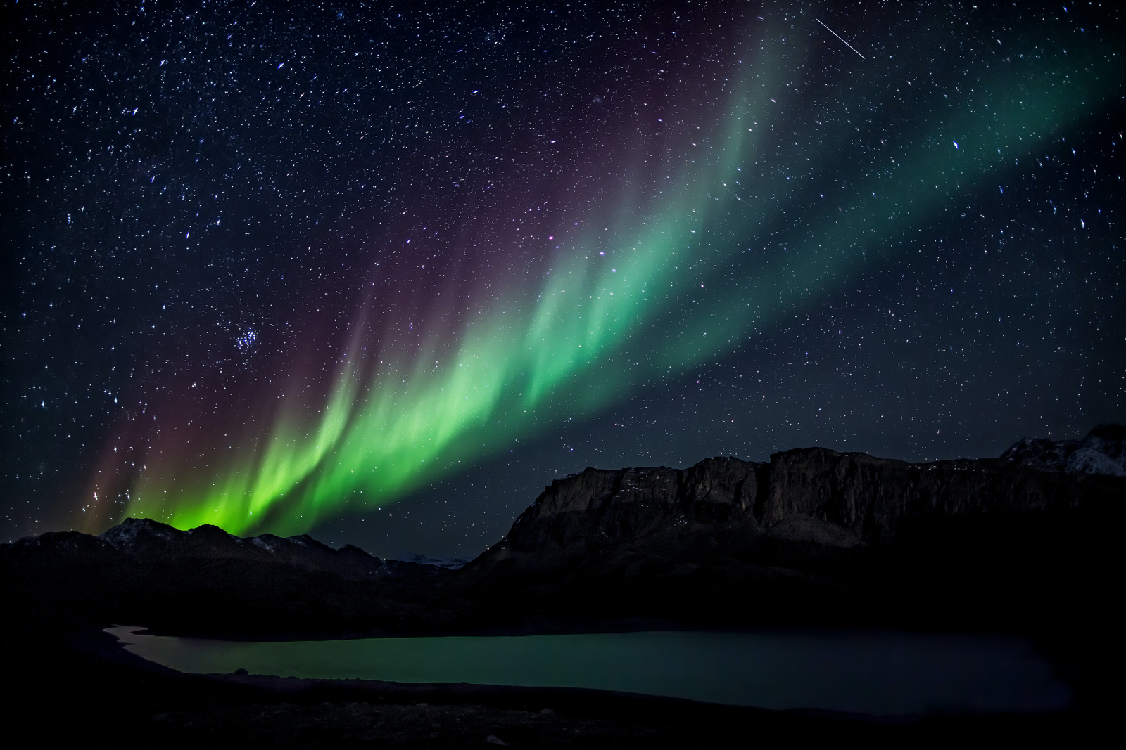 Lobo aullando bajo la aurora